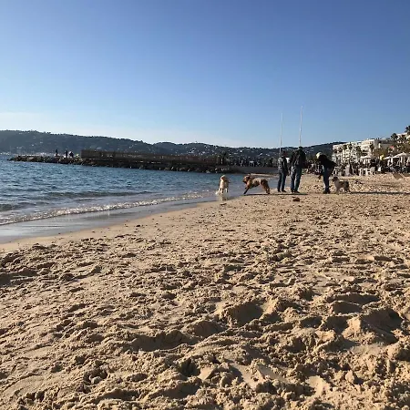 66 Poincare - Luxury For 2 People - Air Conditioning, - Parking * Antibes